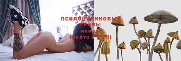 Альфа ПВП Новокубанск