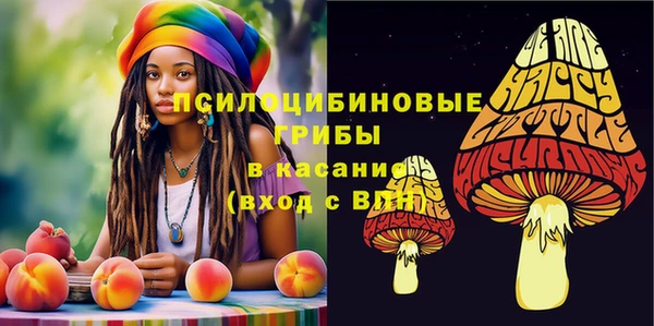 мдпв Новодвинск