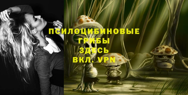 прущая мука Няндома