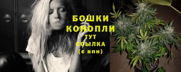 стафф Нягань