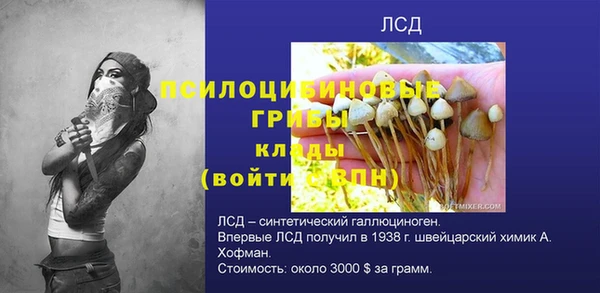 прущая мука Няндома