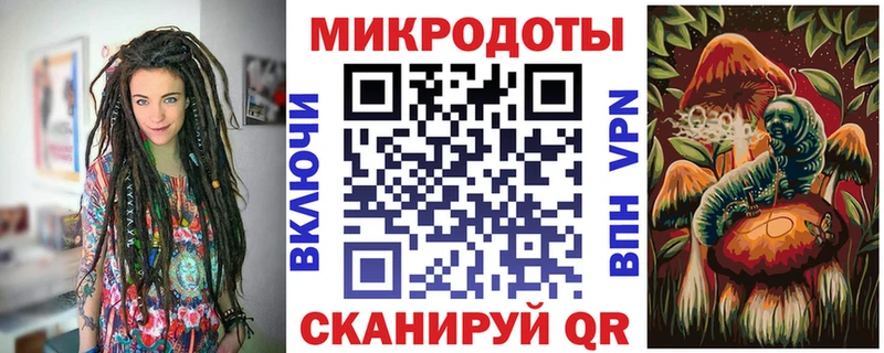 Псилоцибиновые грибы Psilocybe  Западная Двина 