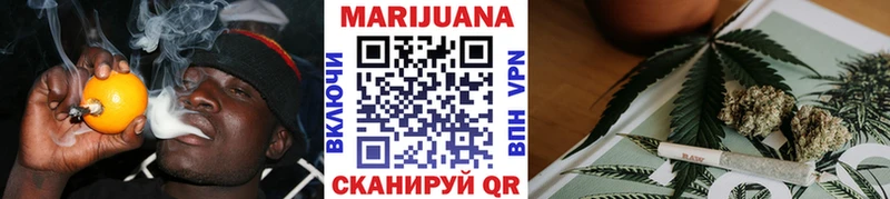 Марихуана индика  hydra   Западная Двина 